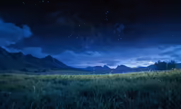 a night scene with stars above the mountains