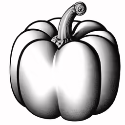 a drawing of a white bell pepper