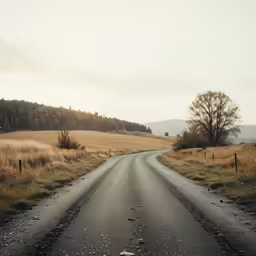 road in middle of field with small fence in the foreground