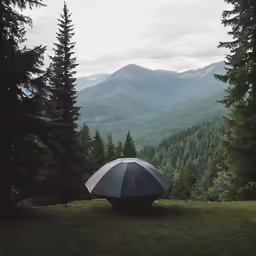 a person in an umbrella sits in the middle of some trees