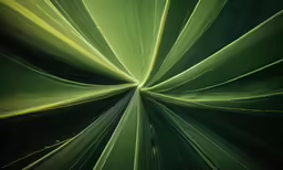 a green leaf that is very abstracted