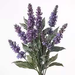 flowers in a vase with leaves on the stem