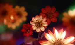 there are some red and yellow flowers that are standing up