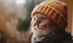 a cat is dressed like a person wearing a winter hat and looking straight ahead