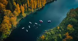a group of white boats on blue water surrounded by yellow leaves