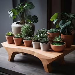 a wooden bench filled with assorted plants