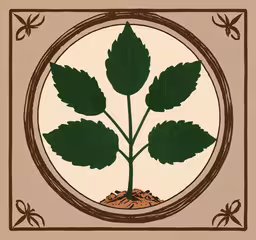 a painting of a small plant inside a circle,a picture of a plant in a circle