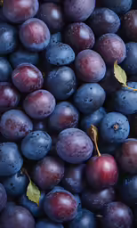 fresh grapes with a leaf on top are mixed together to produce this photograph