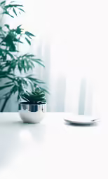 plant with a cellphone on the table near it