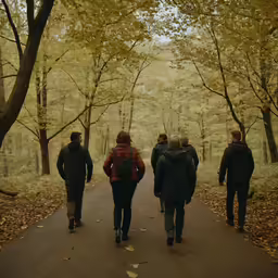 four people walking in an open tree covered area