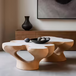 a white coffee table with two bowls on top