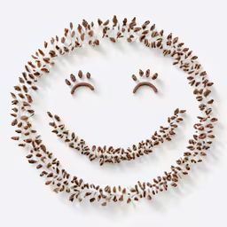 a smiling face made of nuts and nuts in a pattern