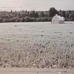 a field with a lone barn in the distance