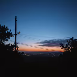 the night sky is lit up above the trees