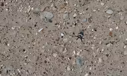 this is a picture of some rocks in the sand
