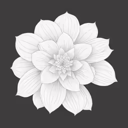 a white flower with a black background