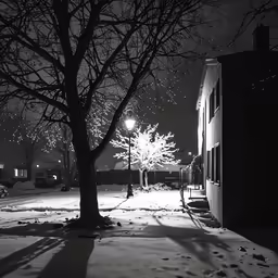 the light shines on the tree on the snowy evening