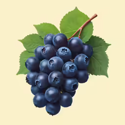 fresh blue berries with leaves on a branch