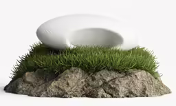 two eggs are lying in the grass between rocks