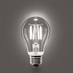 a light bulb is shining brightly in the dark