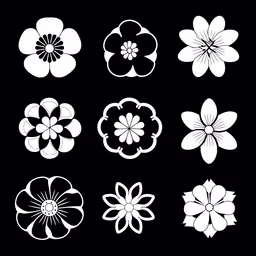 white flowers on a black background,four flowers silhouettes on black background