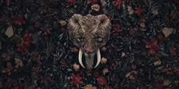 the animal is in the middle of a pattern