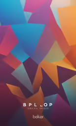a very nice cover for the album bplop
