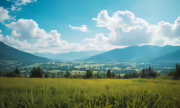 the view of a valley from the side of a hill
