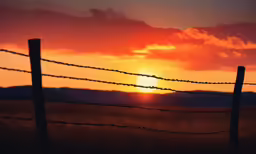 a barbed wire fence on the side of a rural road