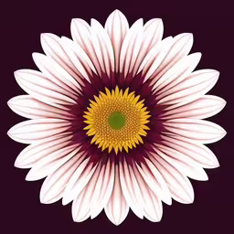 a pink flower with purple petals on the center,a beautiful sunflower with a white, yellow and red center