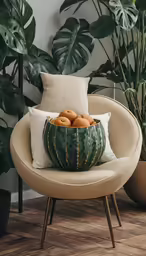a plant on a chair with a bowl of oranges on it