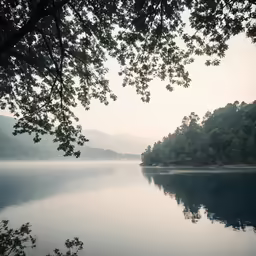 the water is still calm enough for us to see