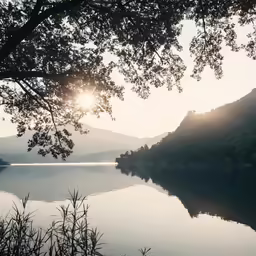 a lake is surrounded by a mountain and tree