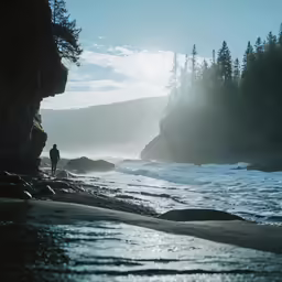 person standing on the shore of a beach near water and trees