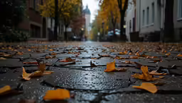 the yellow leaf lies on the street on a rainy day
