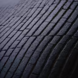 close up of a wet and cobblestone surface