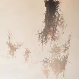 three bundles of sticks that are next to each other