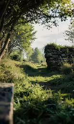 a path is going between a rock wall and some bushes
