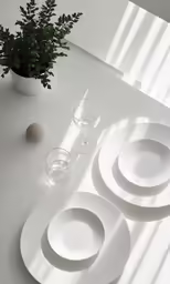 white dinnerware is set near a potted plant and ball
