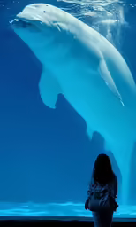woman in black jacket standing in front of a large polar bear