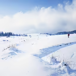 people hiking in the snow near a grassy slope