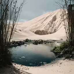 a landscape of a rocky mountain with water in the foreground and some vegetation on either side