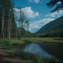 a trail passes a beautiful forest setting and reflects in the stream