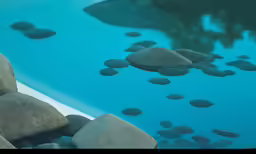rocks and clear blue water are seen in this photograph