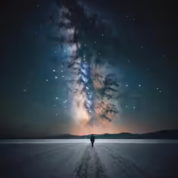 a person standing in the middle of a large field