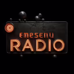 a neon sign that says emiseeu radio on it