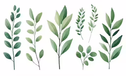 green leaves, set of different shapes and sizes