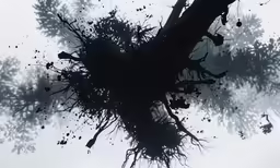 an artistic picture of trees and leaves, against a white background