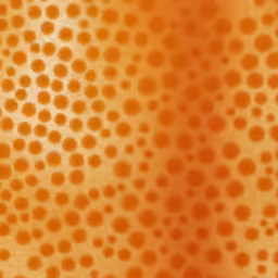 an orange and yellow colored circle design with dots