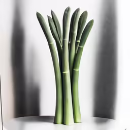 tall thin green stalks of bamboo are placed on a white table